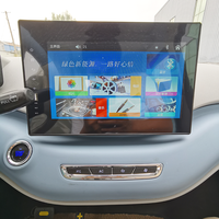 Grand écran multifonctionnel intérieur de luxe populaire de la voiture électrique adulte 60V