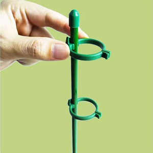Supports pour plantes et fleurs, piquets de fixation, boucle en plastique, anneau de support - Product Image 1