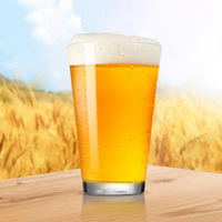 Moderne 16oz Highball Eau Classique Bière Sodas Boissons Froides Pinte Verres Ensemble Restaurant Verrerie Tasses En Verre Gobelets