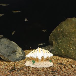 Dekorasi tangki ikan kerang, dekorasi gua palsu panjat tebing, hewan tersembunyi, resin dekorasi tangki ikan lanskap - Product Image 2