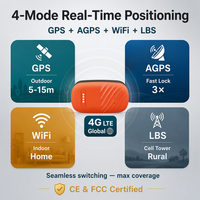 Traceur GPS étanche 4G G51 pour chiens et chats avec application, géolocalisation en temps réel, lecture de l'historique, suivi d'activité, de pas et de sommeil