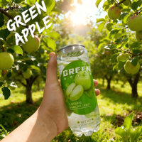 OEM Elisha/Marque privée 350ml Eau gazeuse aromatisée à la pomme verte Boissons gazeuses 12 mois de durée de conservation Vente en gros Xiamen