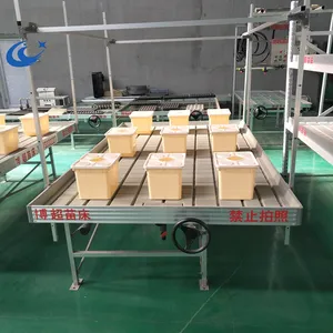 Flood Tray Hydroponic 2022 New Product Flood Tray Table For Hydroponics Fixed Steel Greenhouse Bench Water Flood Growing Bed