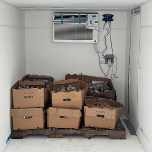 Remolque Refrigerado Móvil de Alta Eficiencia 5x10 para Transporte de Alimentos y Medicamentos con Control de Temperatura Ajustable, Envío Gratuito - Product Image 1