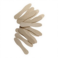 Bâtonnets de crème glacée et de sucettes glacées en bois de bouleau 100% naturel, flexibles, écologiques, économiques, portables, de haute qualité, 75 mm