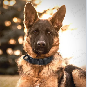 Quality Heavy Duty <strong>Tactical</strong> <strong>Dog</strong> <strong>Collar</strong> Quick Release <strong>Dog</strong> Training <strong>Collar</strong> - Product Image 4