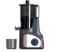 161Mm Groot Kaliber Vruchtensap Residu Scheiding Commerciële Sapmachine Multifunctionele Slowjuicer