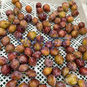 Spot Supply Prune Drying Oven Room Prune Dehydrator Equipment Prune Dehumidifier Processing Machinery - Product Image 1