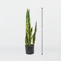 Vente en gros usine – Plante artificielle Sansevieria Trifasciata (Serpentine) de marque, en PE, couleur verte, pour jardin intérieur/extérieur