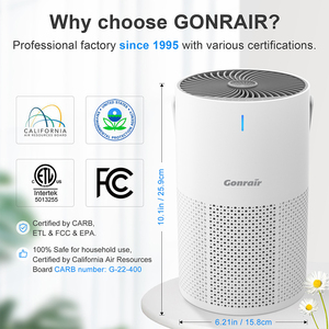 Purificateur d'air portable intelligent pour la maison avec filtre à charbon, vente directe, prix de gros - Product Image 2