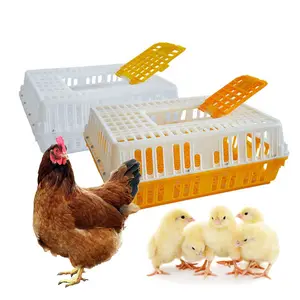 Solapa de puerta de jaula de fábrica, caja de circulación de montaje, caja de columpio, jaula de transporte de animales, transporte de pollo vivo para pollo