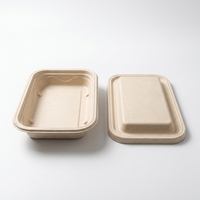 Hete Aanbieding Biologisch Afbreekbare Wegwerp Lunchbox 750ml Rechthoekig Suikerriet Bagasse Magnetronbestendig Recycleerbaar Voedselcontainer Passend
