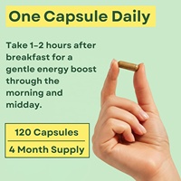 Suplemen Ekstrak Teh Hijau OEM Kapsul Teh Hijau dengan Pil Pembakar Lemak Kopi Hijau untuk Mendukung Metabolisme Energi