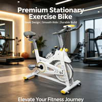 Vélo d'exercice à domicile à transmission par courroie, vélo de spinning d'intérieur OEM ODM pour salle de sport à domicile