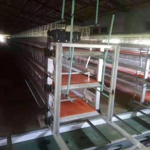 กรงเลี้ยงไก่เนื้อพร้อมระบบเก็บมูลอัตโนมัติ ลวดชุบสังกะสีหนา อุปกรณ์เลี้ยงไก่แบบปรับแต่งได้ - Product Image 3