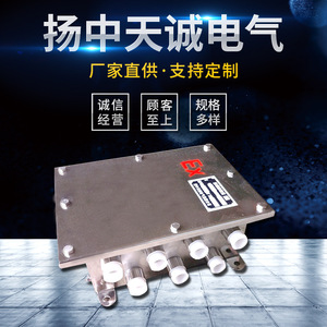 Caja de Conexiones a Prueba de Explosiones de Acero Inoxidable IP65 para Ubicaciones Peligrosas, Fabricada en Yangzhong - Product Image 4