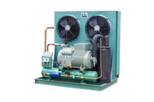 Trung Quốc Nhà máy hiệu quả cao 5HP Đức bitzer bán kín máy nén nhiệt độ cao phòng lạnh ngưng tụ đơn vị trái cây - Product Image 3
