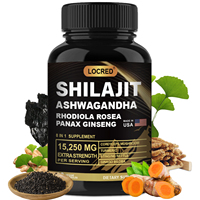 Vente en gros OEM privé Capsules de Shilajit de l'Himalaya Soutien énergétique et immunitaire amélioré Hommes et femmes 60 capsules