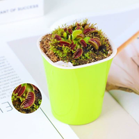 Pot de fleurs carré en plastique PP, écologique et durable, idéal pour la décoration de la maison et du jardin, marque Youfeng, modèle YF-A020, vente en gros.