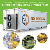 Grande Ferme Intelligente Sinok en Conteneurs – Système d'Agriculture Verticale Hydroponique pour la Culture de Légumes Feuillus et de Laitues – Agriculture Multi-Span