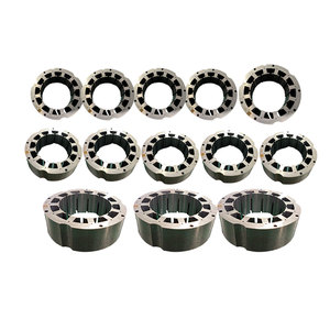 Stator segmented מותאם אישית עם 12 משבצות מנוע חשמלי והליבה ברזל למינציה רוטור - Product Image 1