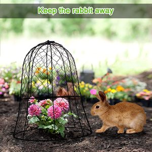 Protecteur et couvre-plante en treillis métallique de 11,8 pouces de diamètre x 15,7 pouces de hauteur, cloche en fil de fer pour jardin - Product Image 4