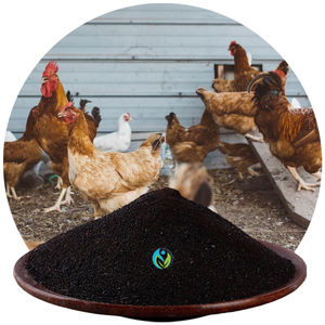 Amoladora de Mesina de servicio pesado <span class=keywords><strong>para</strong></span> aves de corral, 50kg, fertilizante de alimentación de <span class=keywords><strong>ganado</strong></span> <span class=keywords><strong>bovino</strong></span>, polvo, harina de huesos, <span class=keywords><strong>carne</strong></span>, pescado, Animal,> 17% - Product Image 1