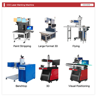 Machine de marquage laser CO2 en ligne à positionnement visuel pour carton, sacs PET et PP, date, lot, code QR