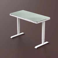 Bureau électrique moderne en acier inoxydable à hauteur réglable, ergonomique, pour le travail à domicile, mobilier de bureau intelligent à double moteur, position assise-debout