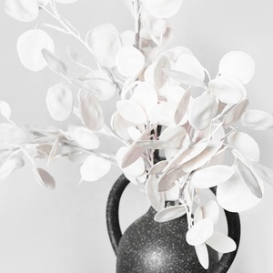 Été Flora En Gros décoratif fleurs naturelles préservées lunaria pour la décoration intérieure - Product Image 1