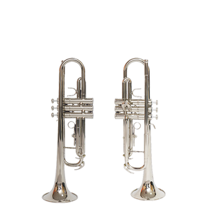 Çocuk bandı için profesyonel sınıf b-aşağı küçük boy trompet acemi enstrüman - Product Image 1