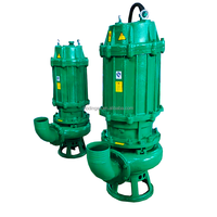 Pompe à eaux usées submersible antidéflagrante de haute qualité HEBEI DINGAO (Chine) avec moteur pour aquarium