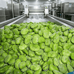 Fave Intere Congelate IQF di Alta Qualità a Prezzo di Fabbrica, Marchi OEM Disponibili - Product Image 6