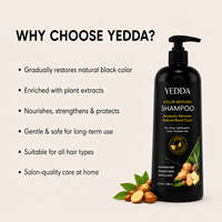 Shampooing Colorant Doux aux Herbes 5-en-1 pour Cheveux Noirs, Revitalisant et Nourrissant, Personnalisé en Usine (OEM)