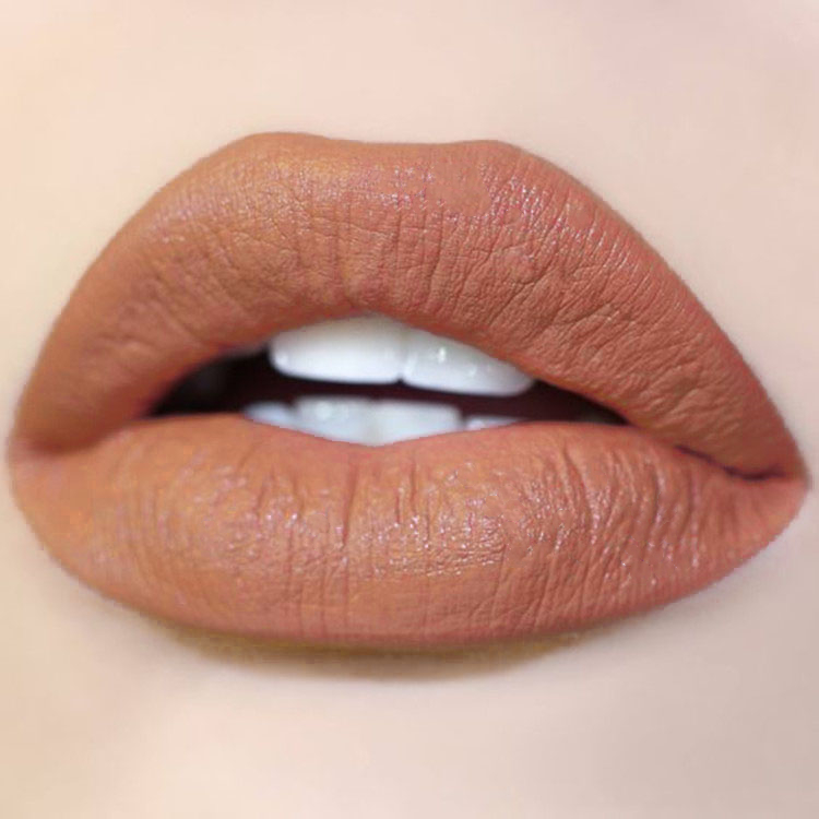 ปะการังมีชีวิต