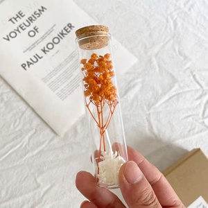 <span class=keywords><strong>Tube</strong></span> à <span class=keywords><strong>essai</strong></span> en verre Borosilicate Transparent à fond plat avec liège pour le stockage de bonbons en grains de café thé aux épices alimentaires - Product Image 4