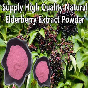 Acheter Extrait de plantes Extrait de sureau Anthocyanines près de chez moi - Product Image 2