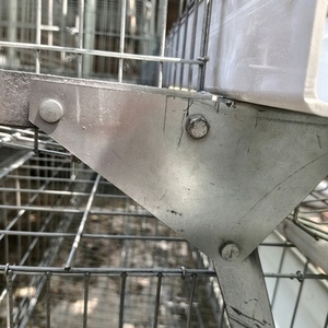 Equipo Automático Galvanizado para Gallinas Ponedoras, Jaulas de Acero para Aves de Corral, para Granjas Avícolas, en Oferta - Product Image 3