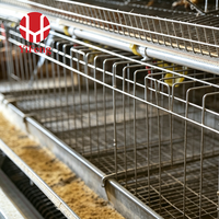 Équipement d'élevage avicole : Cage de ponte de type A à 4 niveaux avec collecte automatique des œufs, courroie à fumier, abreuvoir à tétine et système d'alimentation galvanisé