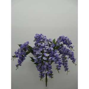 WISTERIA BUSH X12 LV - Product Image 1