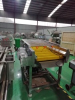 Fruit En Groente Haarwol Roller Reinigingsmachine Wortel Was En Schilmachine