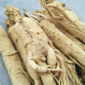 Changbai Pegunungan Putih <span class=keywords><strong>Panax</strong></span> ekstrak tanaman <span class=keywords><strong>Ginseng</strong></span>, atasan kualitas makanan <span class=keywords><strong>Ginseng</strong></span> kering utuh dengan ekstrak tanaman safir aktif - Product Image 2