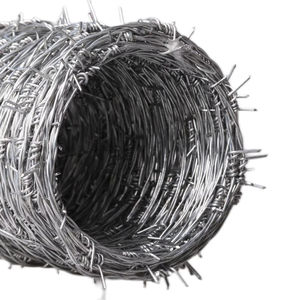 Fabricante <span class=keywords><strong>de</strong></span> alta calidad Mercado <span class=keywords><strong>de</strong></span> América del Sur <span class=keywords><strong>Alambre</strong></span> <span class=keywords><strong>de</strong></span> púas trenzado doble galvanizado <span class=keywords><strong>Alambre</strong></span> <span class=keywords><strong>de</strong></span> púas <span class=keywords><strong>de</strong></span> <span class=keywords><strong>calibre</strong></span> 16,5 - Product Image 1