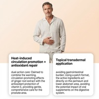 Patchs de Soin de la Prostate au Gingembre Herbal, 10 Pièces, Absorption Transdermique, Chaleur Douce, Soulagement de l'Inconfort Masculin