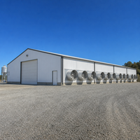 Bâtiment en acier pour poulailler, entrepôt, garage, hangar, abri agricole préfabriqué, structure d'élevage ventilée, conception de ferme
