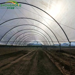 <span class=keywords><strong>Serre</strong></span> tunnel en polyfilm pour la culture des myrtilles en agriculture - Product Image 3