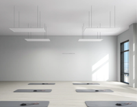 Plaque chauffante infrarouge intelligente en cristal de carbone pour plafond, idéale pour salle de yoga chaud et salon – Vente en gros