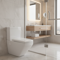 Ensemble WC mural pour salle de bain d'hôtel, cuvette de toilette suspendue en céramique blanche avec réservoir intégré