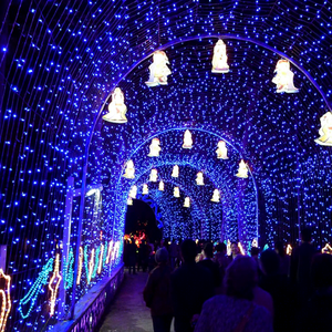ไฟ LED กันน้ำสำหรับตกแต่งอุโมงค์คริสต์มาสกลางแจ้งสำหรับงานเทศกาล - Product Image 2