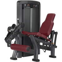 Machine de musculation commerciale pour les mollets, équipement de fitness à usage professionnel en salle de sport